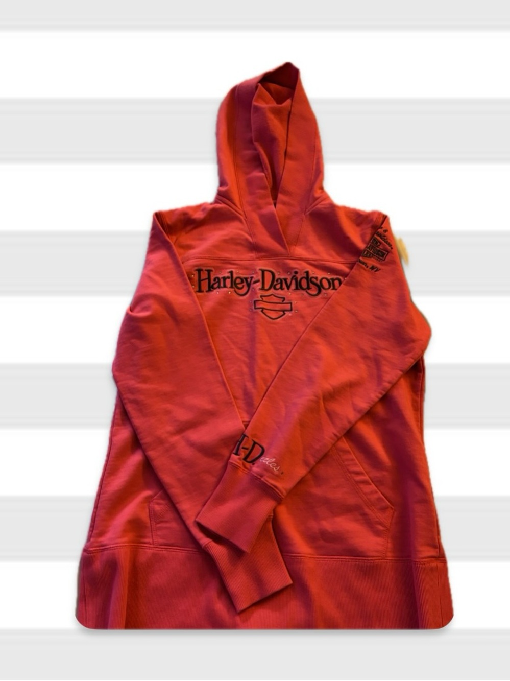 Women’s Harley-Davidson Pink Logo Pullover Motocross Y2K Hoodie